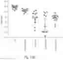 Fig. 14 - HERPES SIMPLEX VIRUS VACCINE