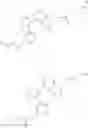 Fig. 33 - Conjugated vaccine carrier proteins