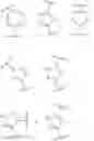 Fig. 34 - Conjugated vaccine carrier proteins