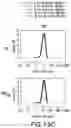 Fig. 19 - PNEUMOCOCCAL CONJUGATE VACCINE FORMULATIONS