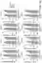 Fig. 20 - PNEUMOCOCCAL CONJUGATE VACCINE FORMULATIONS