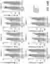 Fig. 21 - PNEUMOCOCCAL CONJUGATE VACCINE FORMULATIONS