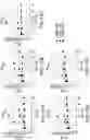 Fig. 22 - PNEUMOCOCCAL CONJUGATE VACCINE FORMULATIONS