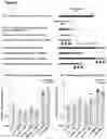 Fig. 06 - PEPTIDE-BASED VACCINES, METHODS OF MANUFACTURING, AND USES THEREOF FOR INDUCING AN IMMUNE RESPONSE