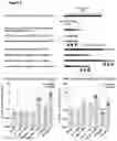 Fig. 07 - PEPTIDE-BASED VACCINES, METHODS OF MANUFACTURING, AND USES THEREOF FOR INDUCING AN IMMUNE RESPONSE