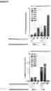 Fig. 09 - PEPTIDE-BASED VACCINES, METHODS OF MANUFACTURING, AND USES THEREOF FOR INDUCING AN IMMUNE RESPONSE
