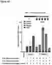 Fig. 11 - PEPTIDE-BASED VACCINES, METHODS OF MANUFACTURING, AND USES THEREOF FOR INDUCING AN IMMUNE RESPONSE