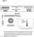 Fig. 12 - PEPTIDE-BASED VACCINES, METHODS OF MANUFACTURING, AND USES THEREOF FOR INDUCING AN IMMUNE RESPONSE