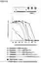Fig. 13 - PEPTIDE-BASED VACCINES, METHODS OF MANUFACTURING, AND USES THEREOF FOR INDUCING AN IMMUNE RESPONSE