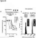 Fig. 33 - PEPTIDE-BASED VACCINES, METHODS OF MANUFACTURING, AND USES THEREOF FOR INDUCING AN IMMUNE RESPONSE