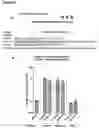 Fig. 36 - PEPTIDE-BASED VACCINES, METHODS OF MANUFACTURING, AND USES THEREOF FOR INDUCING AN IMMUNE RESPONSE