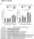 Fig. 41 - PEPTIDE-BASED VACCINES, METHODS OF MANUFACTURING, AND USES THEREOF FOR INDUCING AN IMMUNE RESPONSE