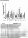Fig. 45 - PEPTIDE-BASED VACCINES, METHODS OF MANUFACTURING, AND USES THEREOF FOR INDUCING AN IMMUNE RESPONSE