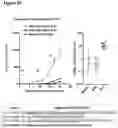 Fig. 50 - PEPTIDE-BASED VACCINES, METHODS OF MANUFACTURING, AND USES THEREOF FOR INDUCING AN IMMUNE RESPONSE