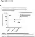 Fig. 56 - PEPTIDE-BASED VACCINES, METHODS OF MANUFACTURING, AND USES THEREOF FOR INDUCING AN IMMUNE RESPONSE