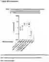 Fig. 62 - PEPTIDE-BASED VACCINES, METHODS OF MANUFACTURING, AND USES THEREOF FOR INDUCING AN IMMUNE RESPONSE