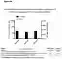 Fig. 65 - PEPTIDE-BASED VACCINES, METHODS OF MANUFACTURING, AND USES THEREOF FOR INDUCING AN IMMUNE RESPONSE