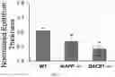 Fig. 03 - METHODS FOR INCREASING NEURONAL SURVIVAL