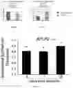 Fig. 05 - METHODS FOR INCREASING NEURONAL SURVIVAL