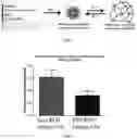 Fig. 02 - ROS-DEGRADEABLE HYDROGELS