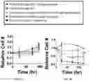 Fig. 03 - ROS-DEGRADEABLE HYDROGELS