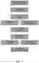 Fig. 02 - Dually derivatized chitosan nanoparticles and methods of making and using the same for gene transfer in vivo