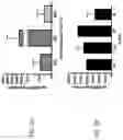 Fig. 03 - Dually derivatized chitosan nanoparticles and methods of making and using the same for gene transfer in vivo