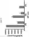 Fig. 06 - Dually derivatized chitosan nanoparticles and methods of making and using the same for gene transfer in vivo