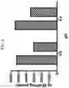 Fig. 07 - Dually derivatized chitosan nanoparticles and methods of making and using the same for gene transfer in vivo