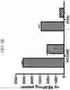 Fig. 10 - Dually derivatized chitosan nanoparticles and methods of making and using the same for gene transfer in vivo