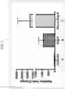 Fig. 12 - Dually derivatized chitosan nanoparticles and methods of making and using the same for gene transfer in vivo