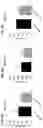 Fig. 07 - Factor IX encoding nucleotides