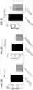 Fig. 08 - Factor IX encoding nucleotides