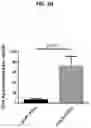 Fig. 11 - Factor IX encoding nucleotides
