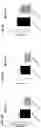 Fig. 09 - Factor IX encoding nucleotides