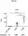 Fig. 13 - Factor IX encoding nucleotides