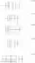 Fig. 27 - RADIOPAQUE POLYMERS WITH ENHANCED RADIOPACITY