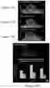 Fig. 16 - Nanoparticle Photoacoustic Imaging Agents