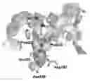 Fig. 01 - HDAC6 inhibitors and imaging agents