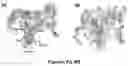 Fig. 07 - HDAC6 inhibitors and imaging agents