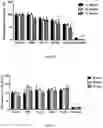 Fig. 05 - Therapeutic material