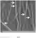 Fig. 06 - Process for coating a biomedical implant with a biocompatible polymer and a biomedical implant therefrom