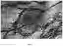 Fig. 08 - Process for coating a biomedical implant with a biocompatible polymer and a biomedical implant therefrom