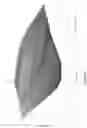 Fig. 12 - Thermoresponsive hydrogel