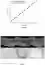 Fig. 18 - Thermoresponsive hydrogel