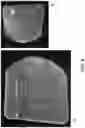 Fig. 11 - POLYPEPTIDE MONOLITHS