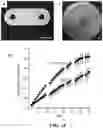 Fig. 23 - POLYPEPTIDE MONOLITHS
