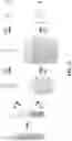 Fig. 26 - POLYPEPTIDE MONOLITHS