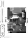Fig. 29 - POLYPEPTIDE MONOLITHS