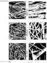 Fig. 04 - Aligned porous fibrillar scaffold for tissue engineering and surgical application